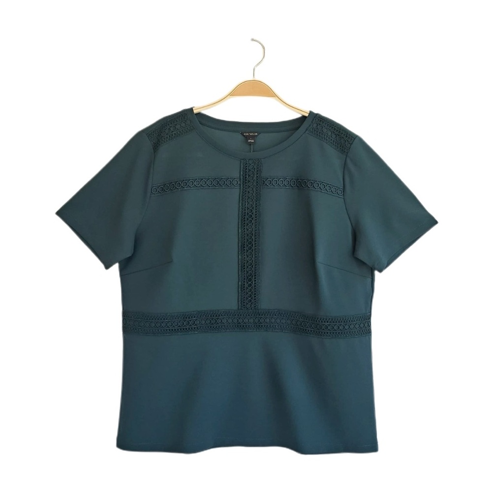 Ann Taylor Dark Green Lace Accent Top Short Sleeve NWT Size L #202